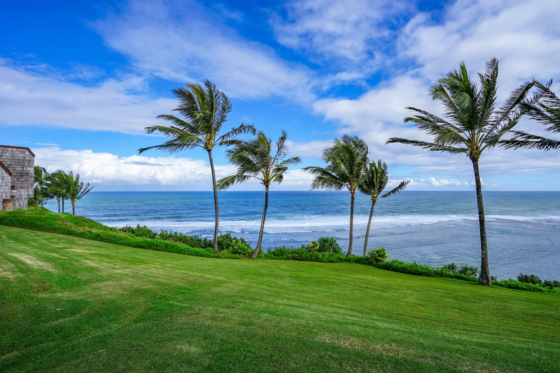 A grassy coastal lawn overlooks the ocean, with palm trees along the shore.