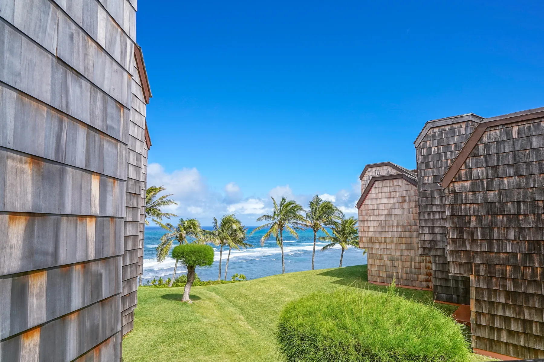 Shingled buildings overlook a green lawn, palm trees, and the ocean.
