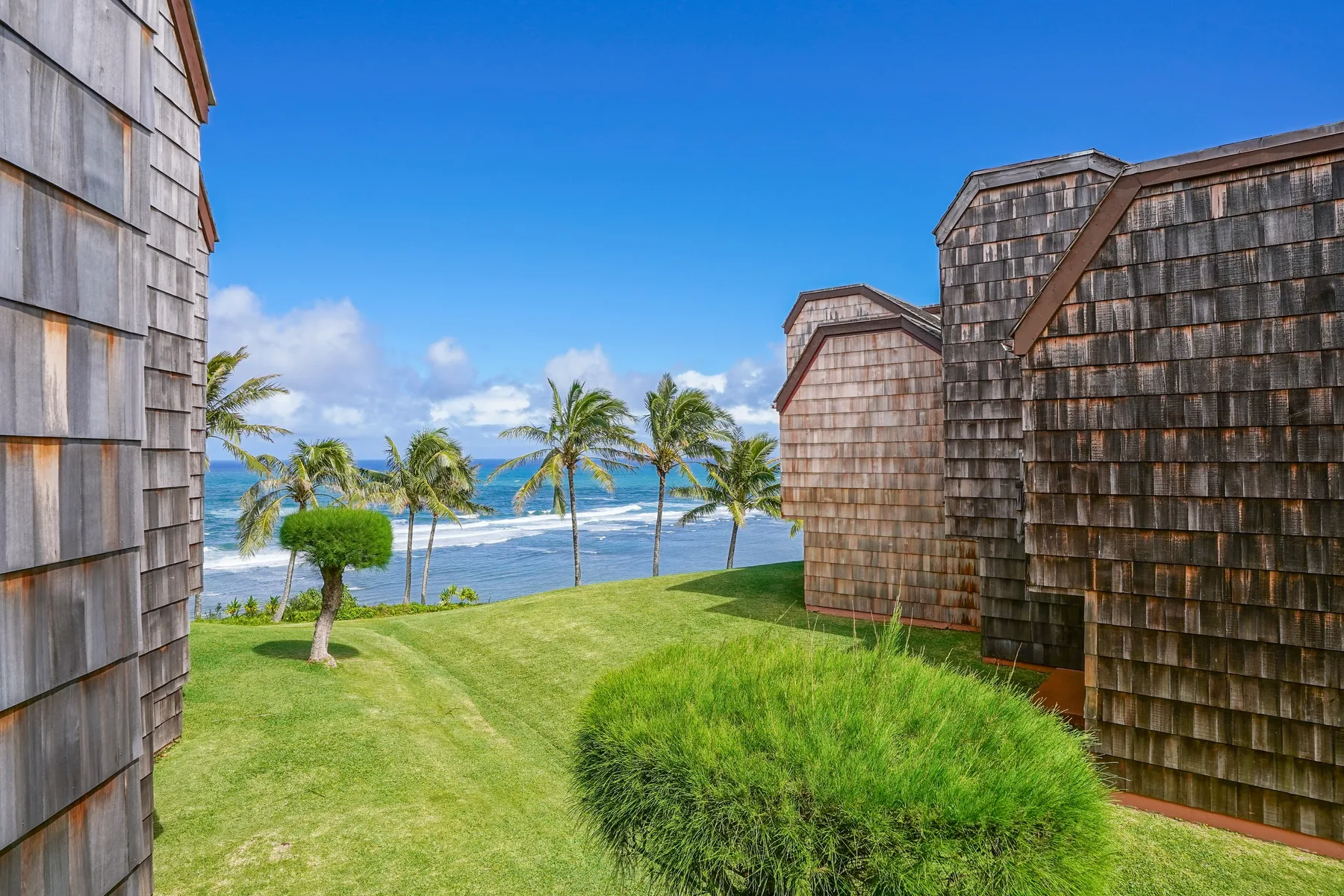 A grassy courtyard between shingled buildings overlooks palm trees and the ocean.