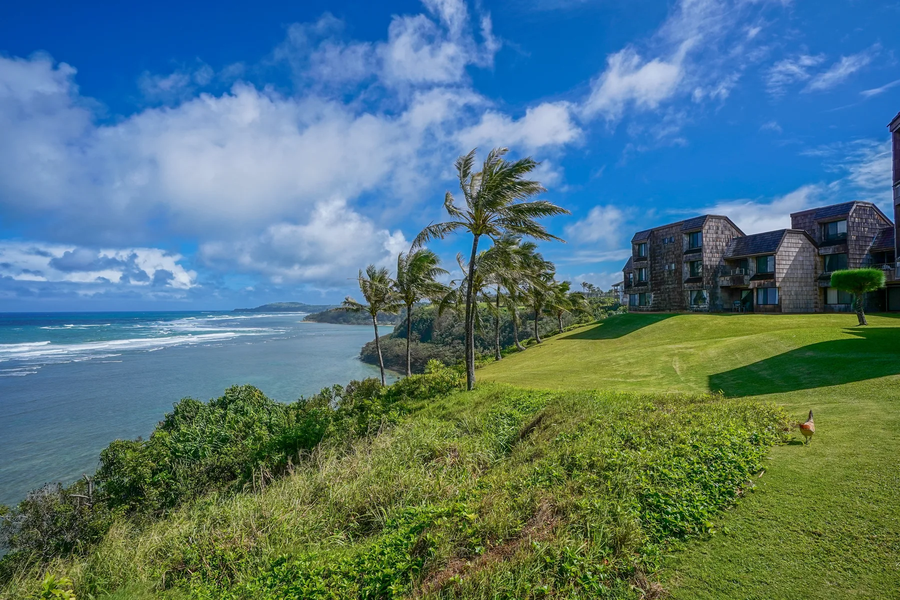 Coastal landscape with ocean waves, grassy grounds, palm trees, and nearby buildings.