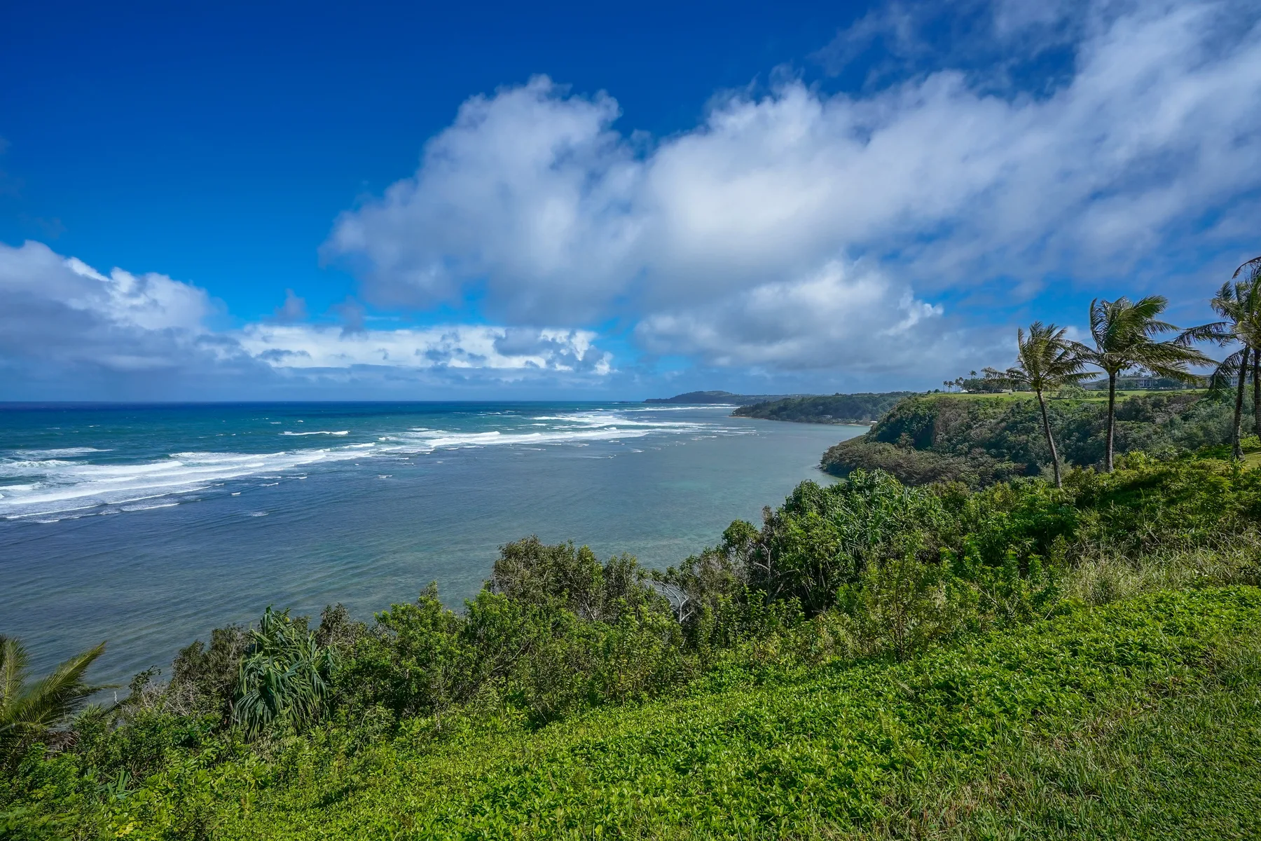 A coastal landscape with ocean waves, green vegetation, and palm trees.
