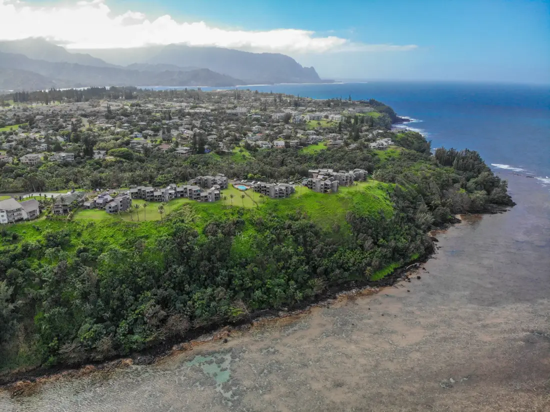 Aerial view of a green coastal peninsula with buildings beside the ocean.