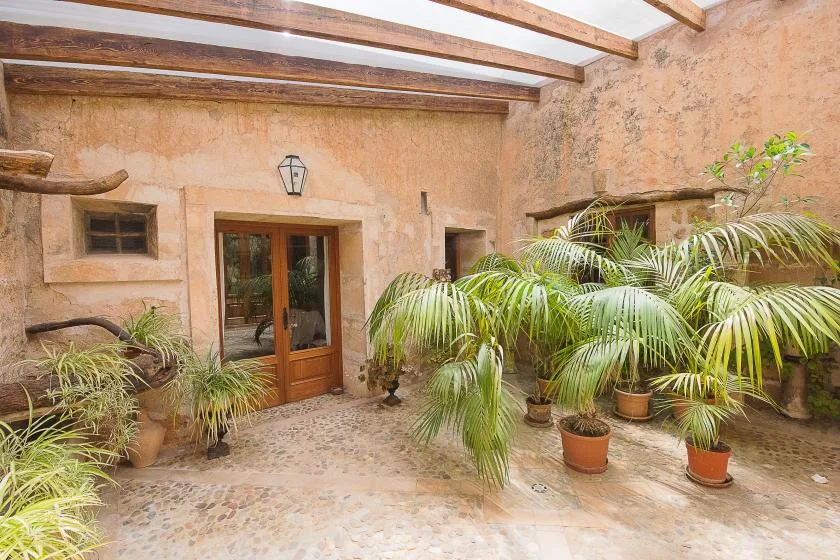 Un patio iluminado con palmeras en macetas junto a una puerta de madera.