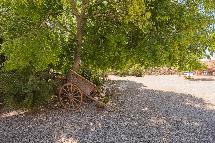 Un patio de grava con sombra, árboles frondosos y un carro de madera.