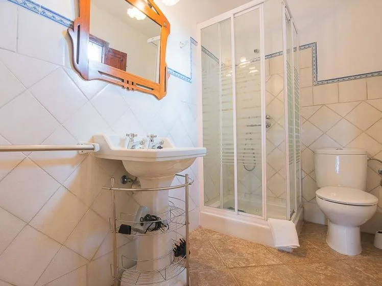 Un baño alicatado con lavabo, ducha e inodoro.