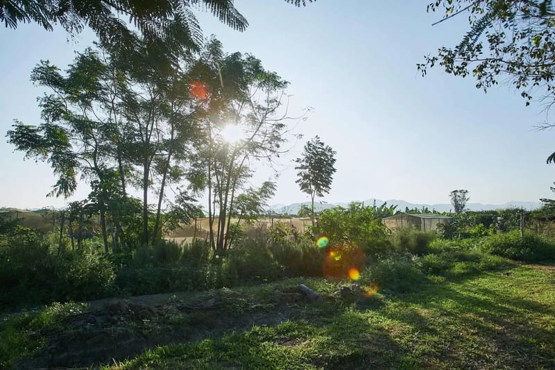 Nature Retreat 4BR w/ Pool & BBQ in Cañete