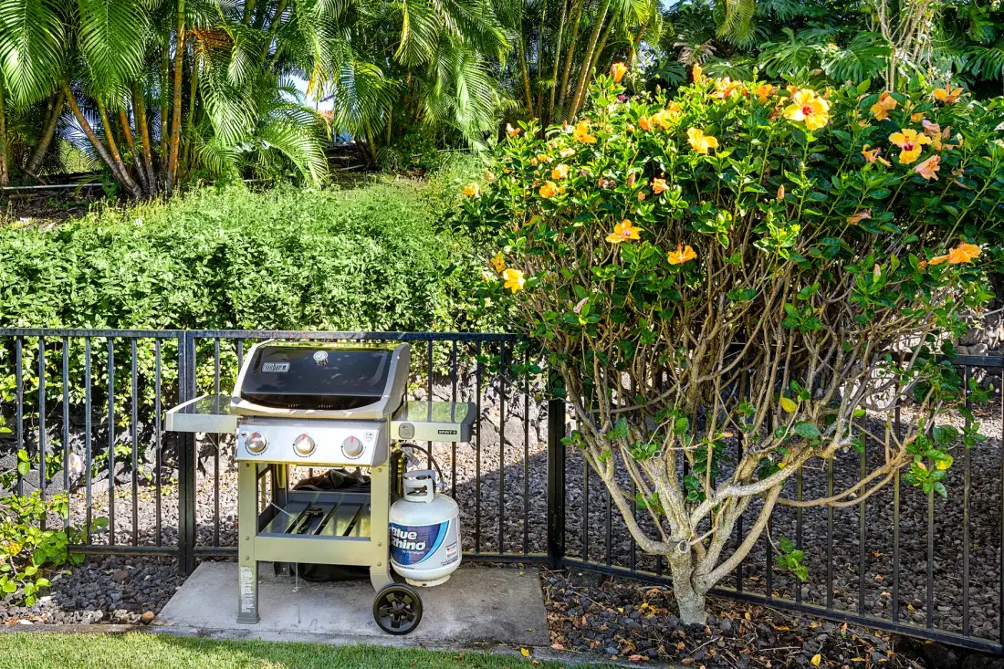An outdoor grill stands beside flowering shrubs and lush tropical greenery.