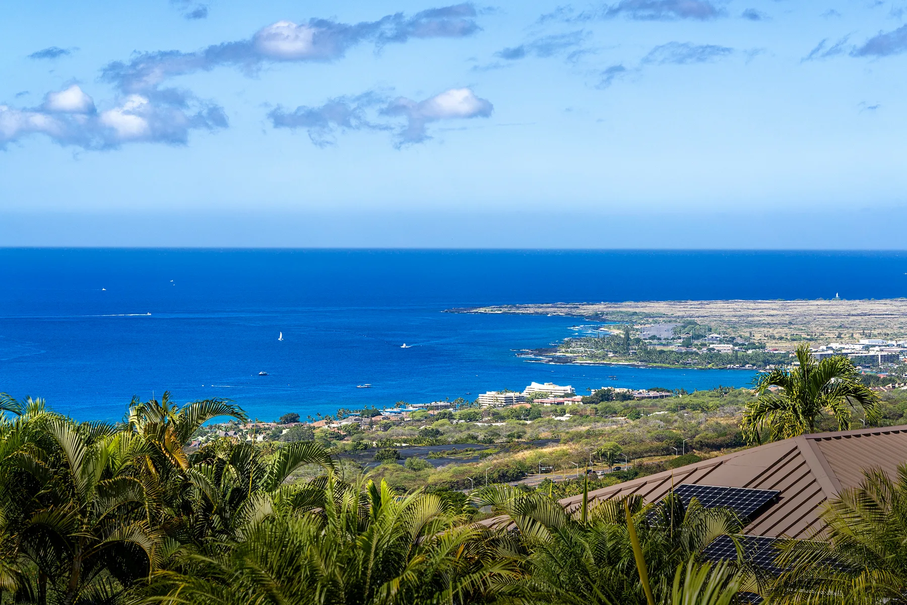 A coastal landscape with blue ocean, distant shoreline, and palms in the foreground.