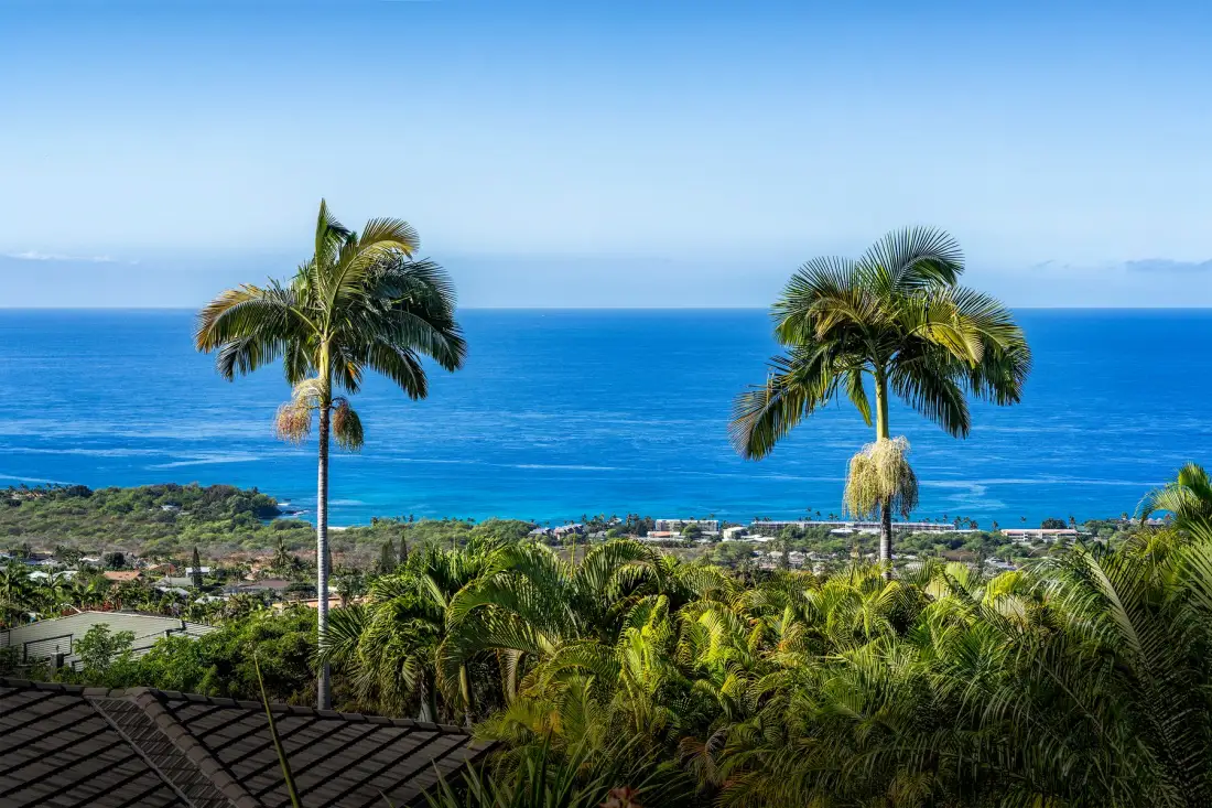 A coastal landscape with palm trees overlooking the blue ocean.