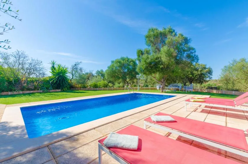 Una piscina al aire libre está junto a una terraza pavimentada con tumbonas rojas.