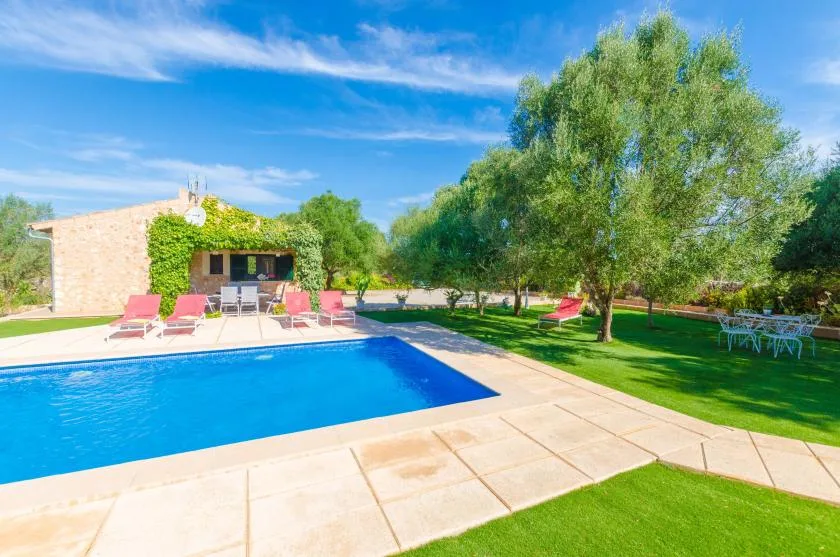 Una piscina al aire libre está junto a un césped, árboles y asientos de patio.