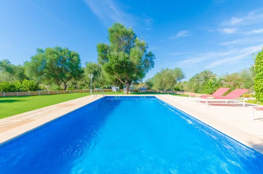 Una piscina al aire libre está rodeada por una terraza pavimentada, césped y árboles.