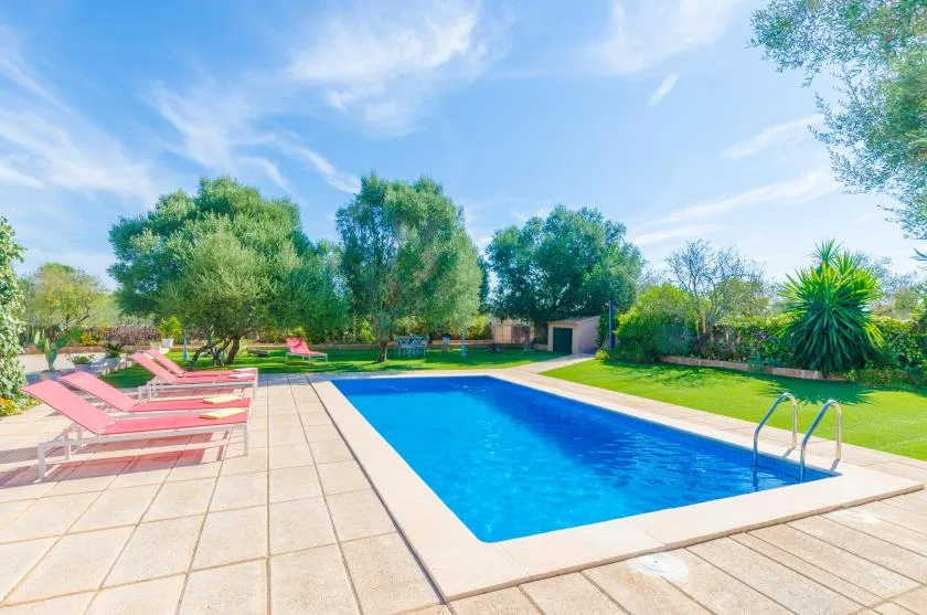 Una piscina al aire libre está rodeada por una terraza pavimentada y árboles verdes.
