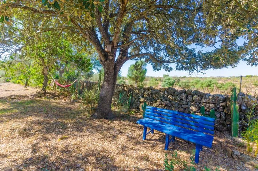 Una zona de descanso al aire libre, con un banco azul bajo un árbol frondoso.