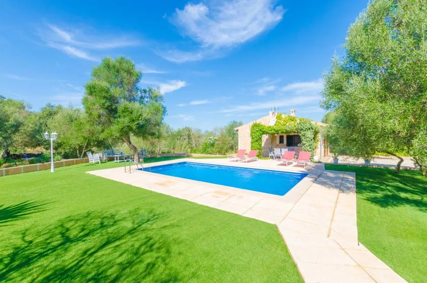 Una piscina al aire libre está rodeada de césped, árboles y un patio pavimentado.