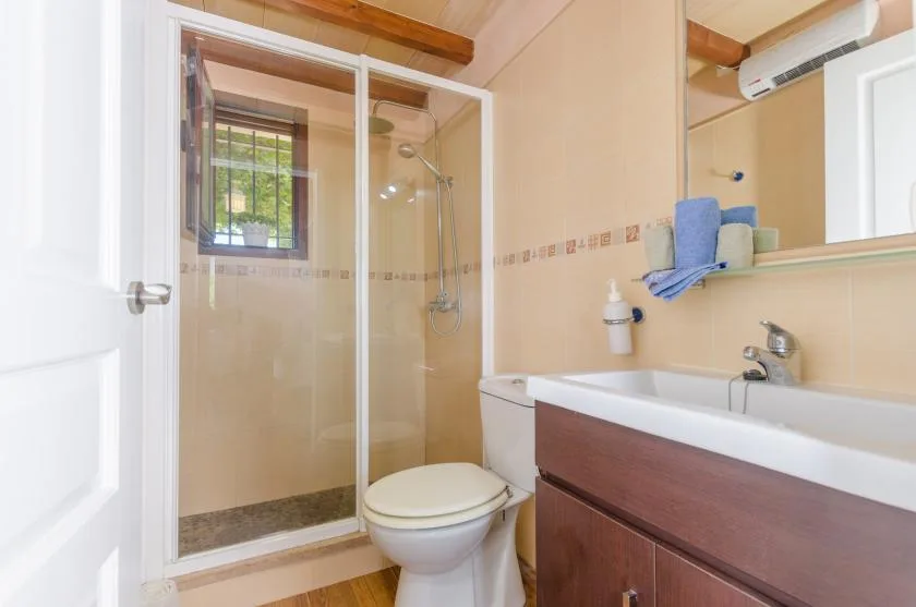 Un baño con ducha de vidrio, inodoro y tocador.