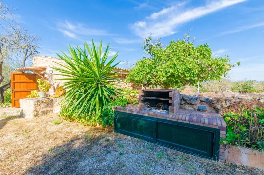 Una zona de cocina al aire libre con una barbacoa de ladrillo entre plantas frondosas.
