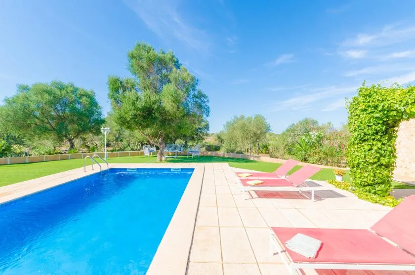 Una piscina al aire libre junto a una zona pavimentada para tomar el sol y vegetación.