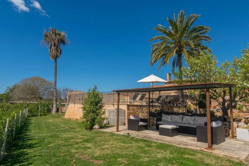 A garden patio with shaded seating beneath a pergola and a palm tree nearby.