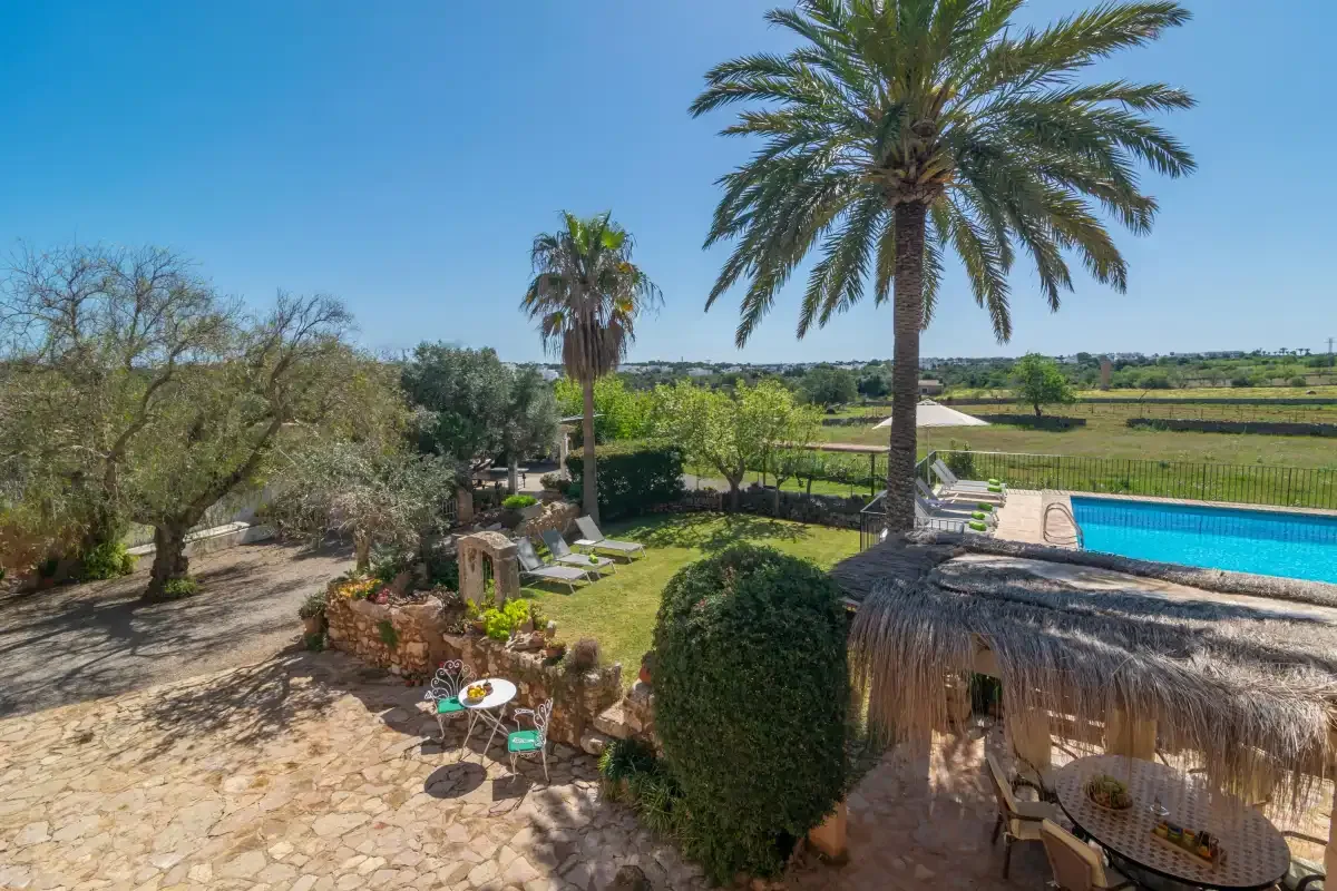 A garden patio with palm trees overlooks a swimming pool and open countryside.