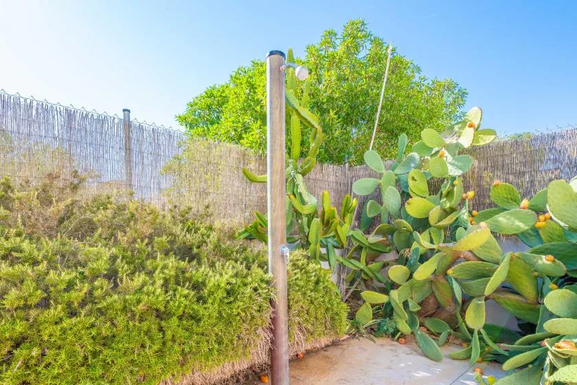 Una ducha exterior está junto a nopales y arbustos verdes.