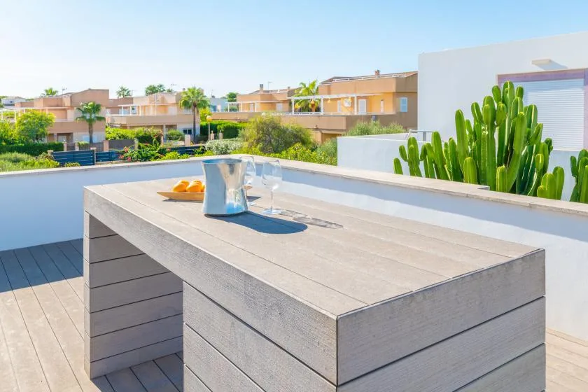 Una terraza en la azotea con una mesa grande y cactus en macetas.