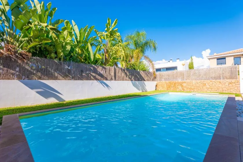 Una piscina al aire libre está junto a un muro bajo y plantas tropicales.