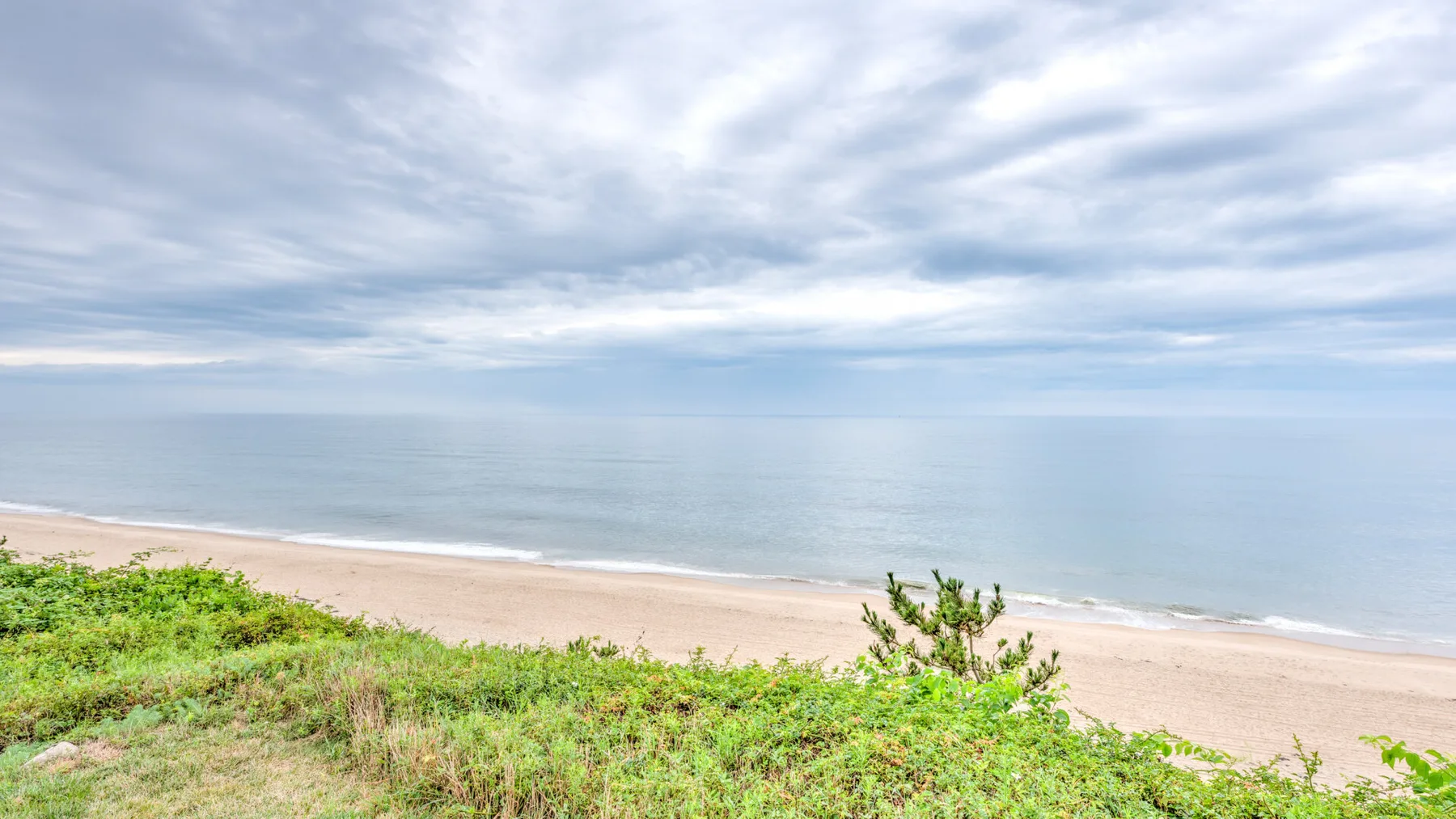 A sandy beach meets calm water, with green vegetation in the foreground.