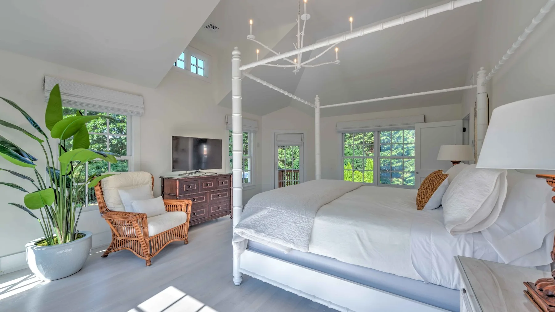 A bright bedroom with a canopy bed, a television, and a potted plant.