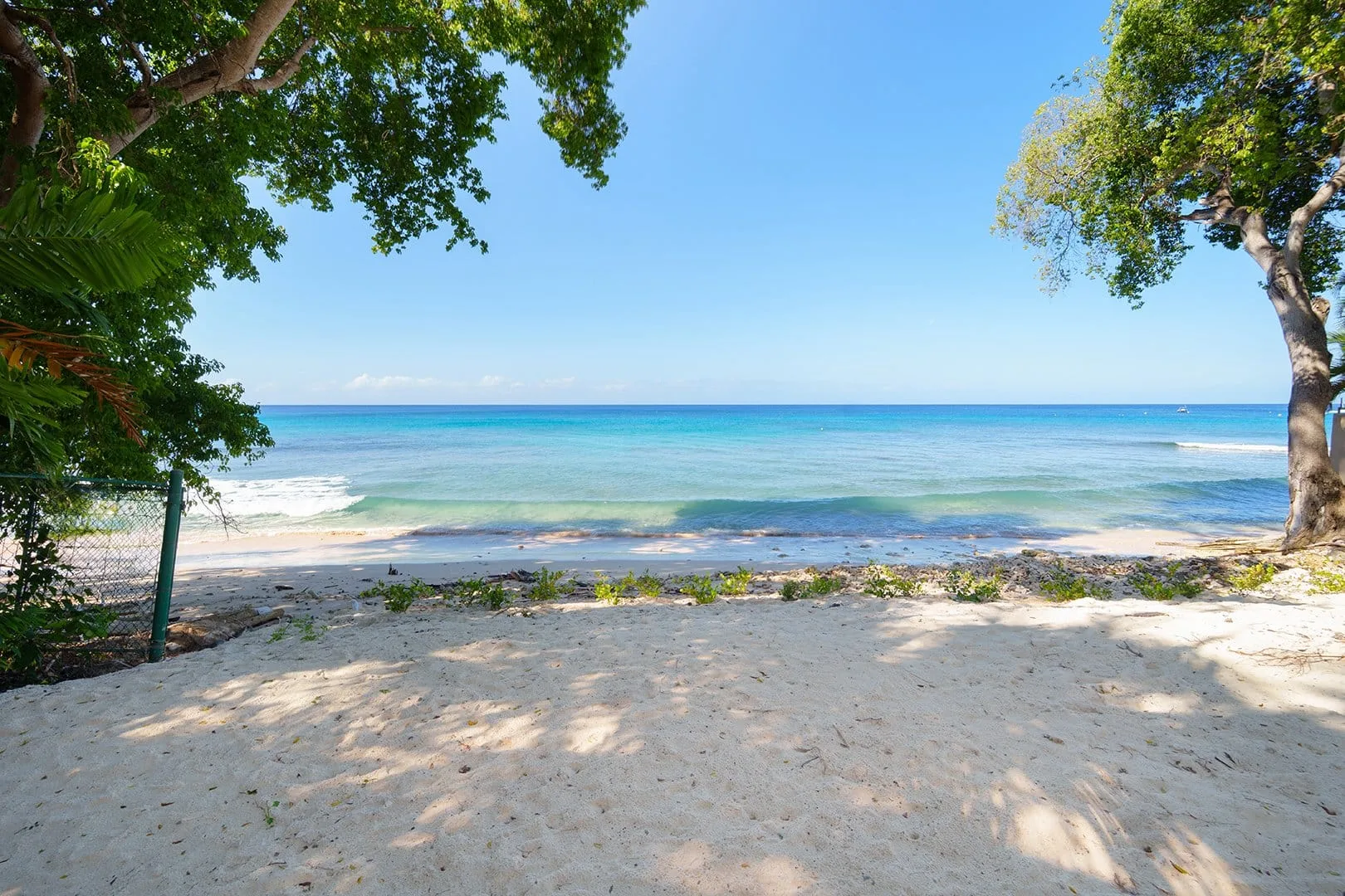 A sandy beach meets clear blue water beneath leafy trees.