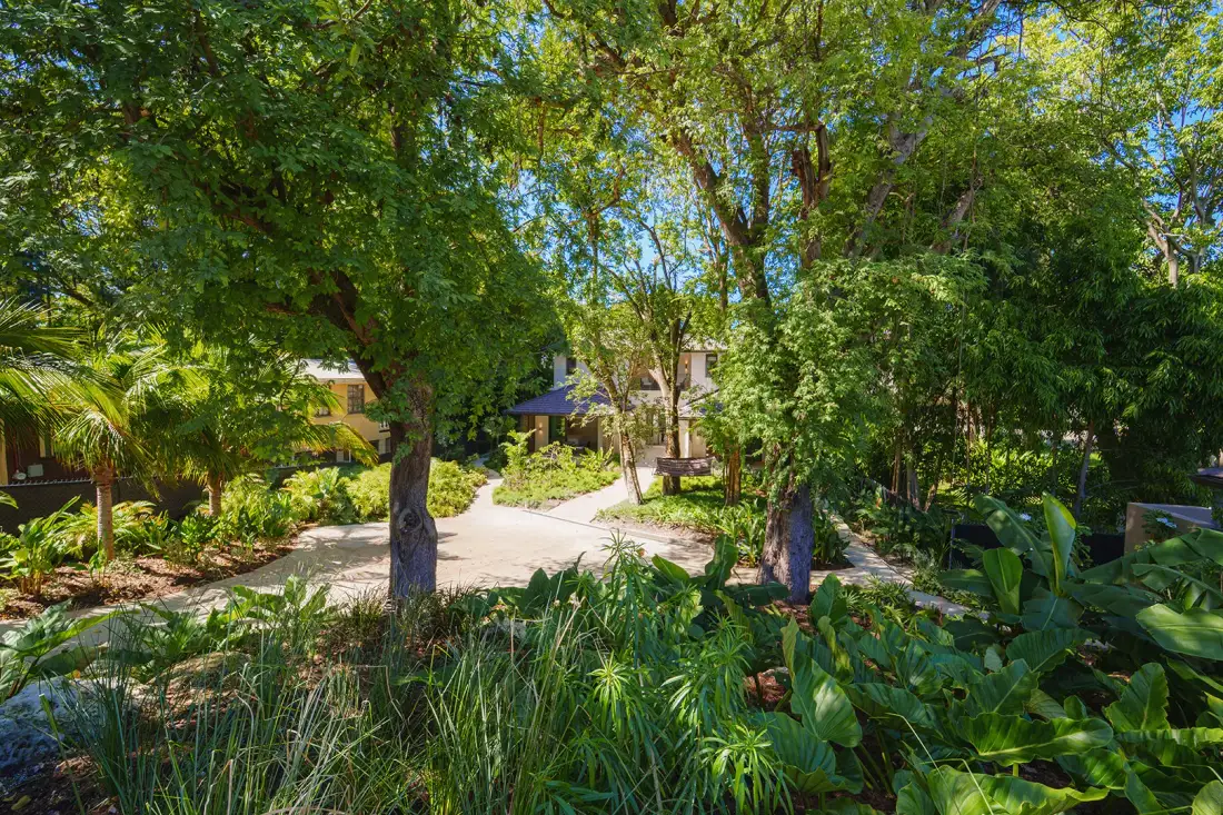 A leafy garden surrounds a paved walkway leading toward a building.