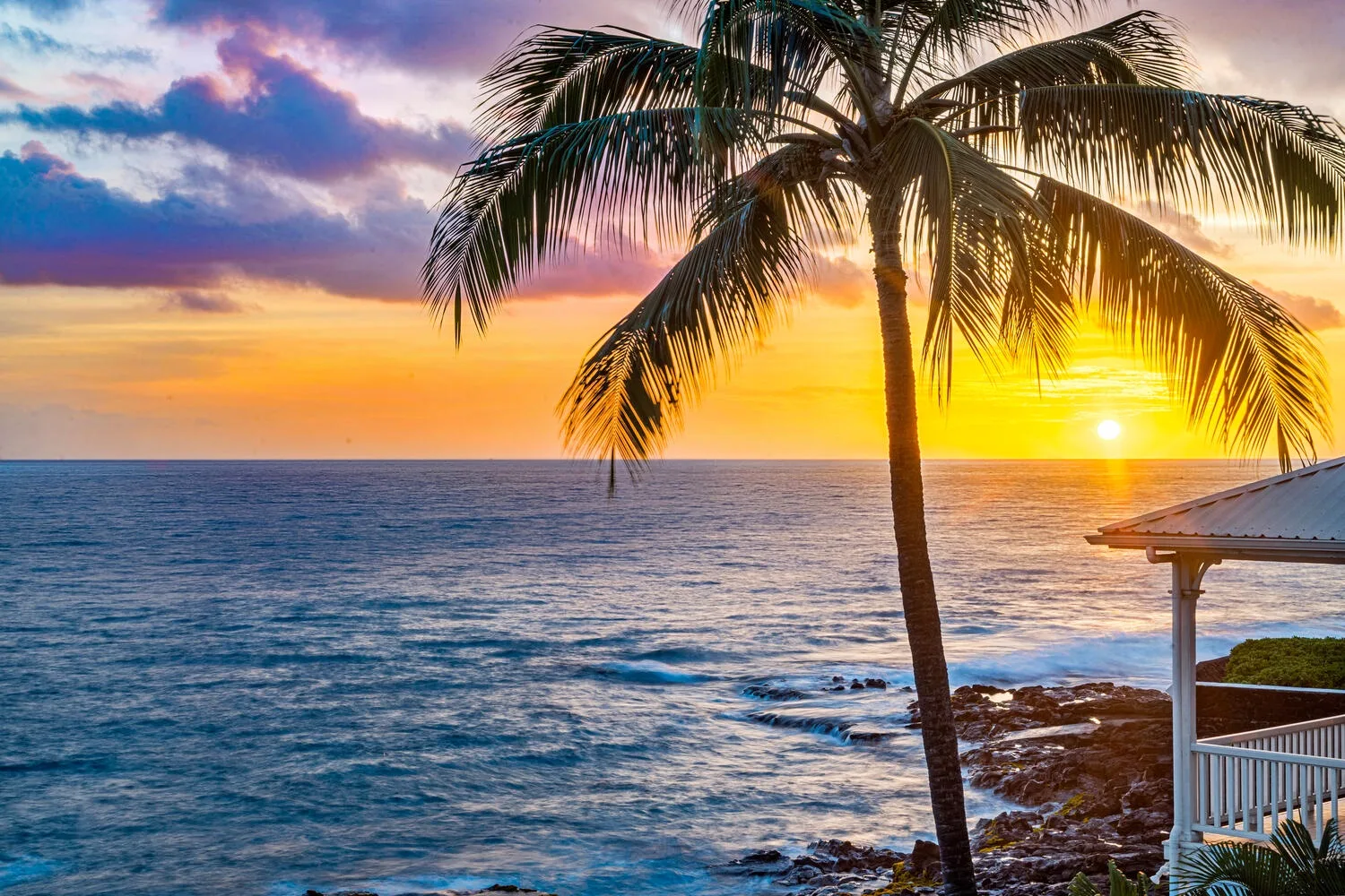 Una palmera se alza frente a las olas del mar bajo un cielo colorido al atardecer.