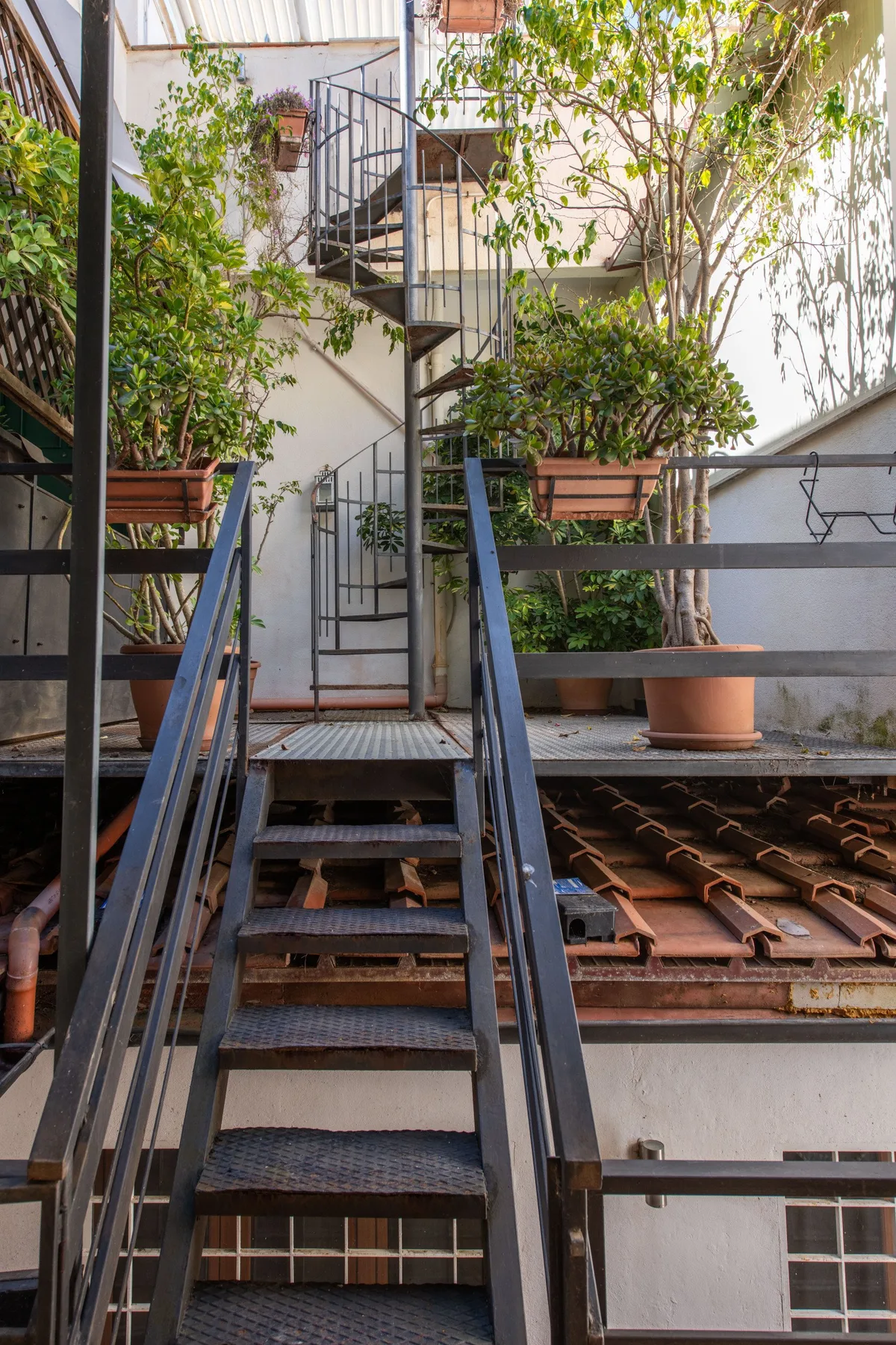 An outdoor metal staircase rises through a courtyard filled with potted plants.