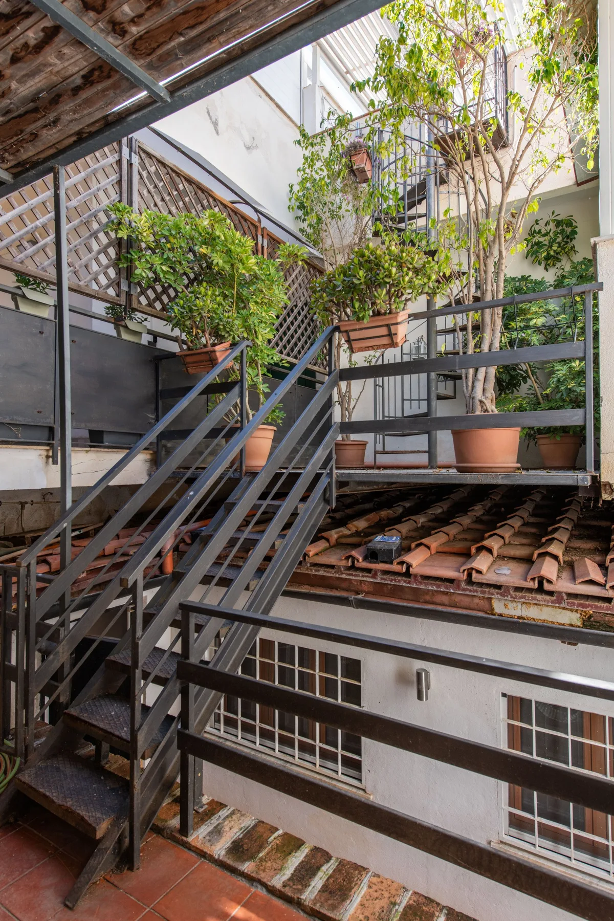 An outdoor stairway and elevated walkway are surrounded by potted trees and plants.