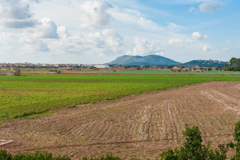 Campos agrícolas abiertos se extienden hacia colinas lejanas bajo un cielo nublado.