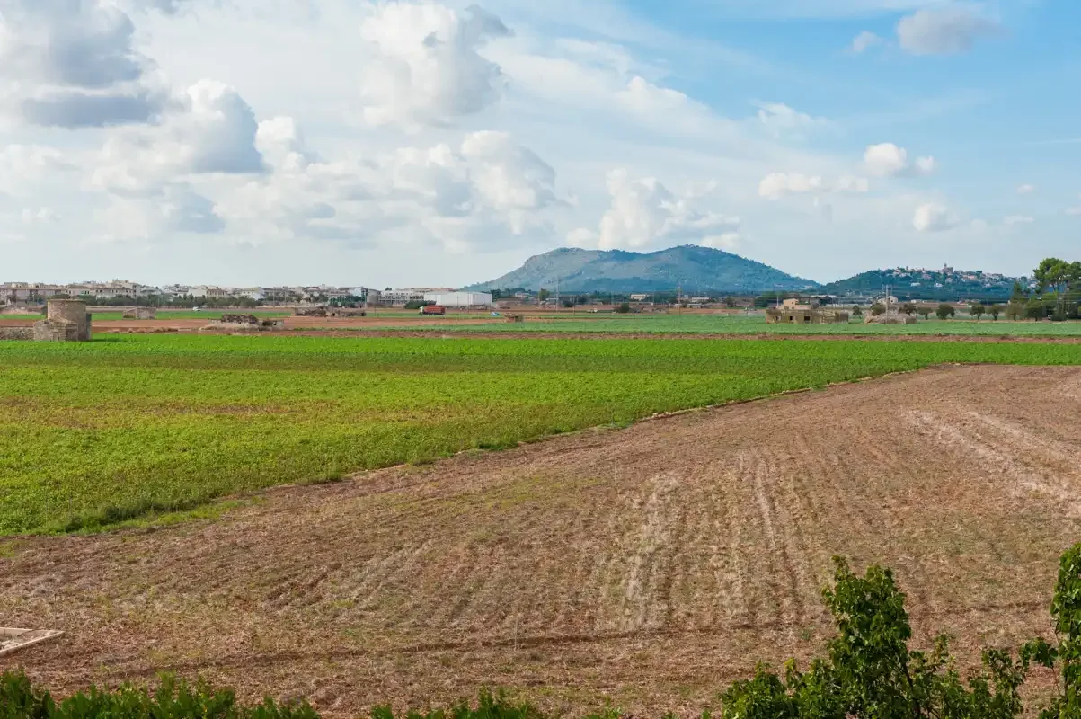 Campos agrícolas abiertos se extienden hacia colinas lejanas bajo un cielo azul nublado.
