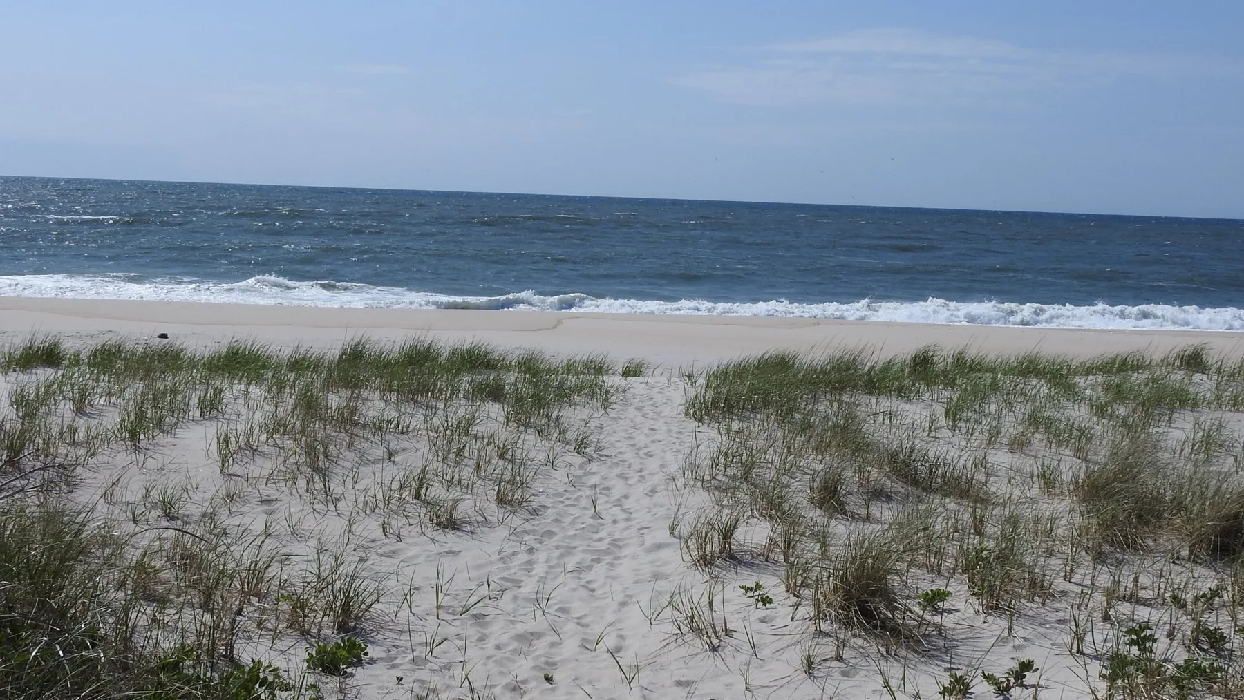 A sandy beach with grasses in the foreground and ocean waves beyond.