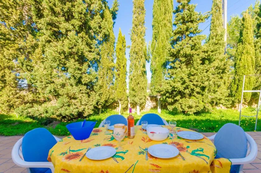 Una mesa al aire libre está puesta con platos coloridos bajo árboles altos.