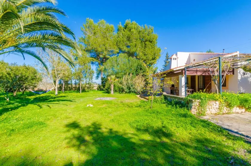 Un jardín de césped con árboles y una casa bajo un cielo azul despejado.