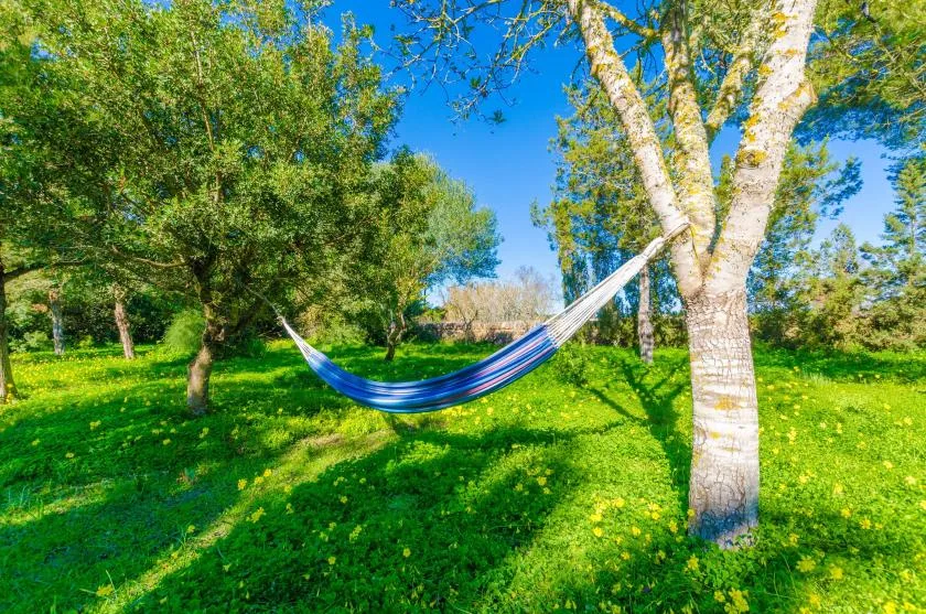 Una hamaca cuelga entre árboles en un jardín soleado y cubierto de césped.