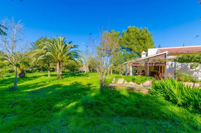 Una casa se encuentra junto a un jardín de césped con palmeras y otra vegetación.