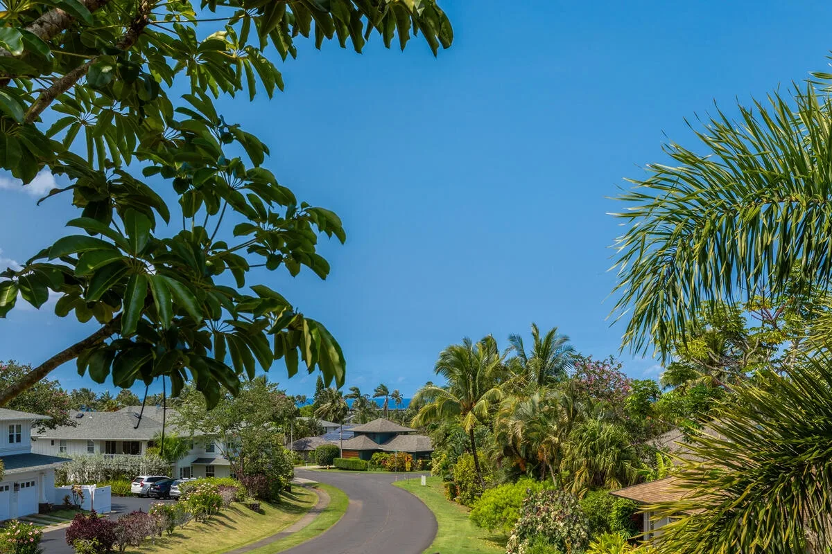 Una carretera curva atraviesa una zona residencial tropical ajardinada.