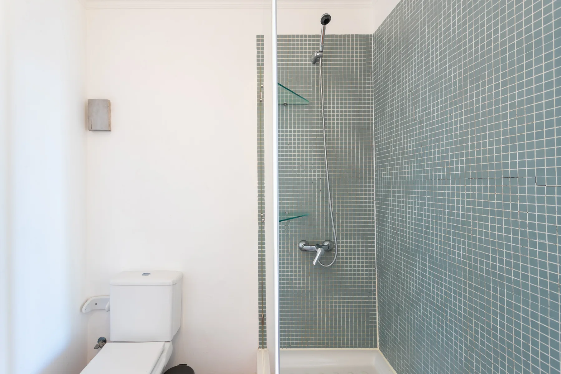 Un baño con inodoro y ducha revestida de azulejos.