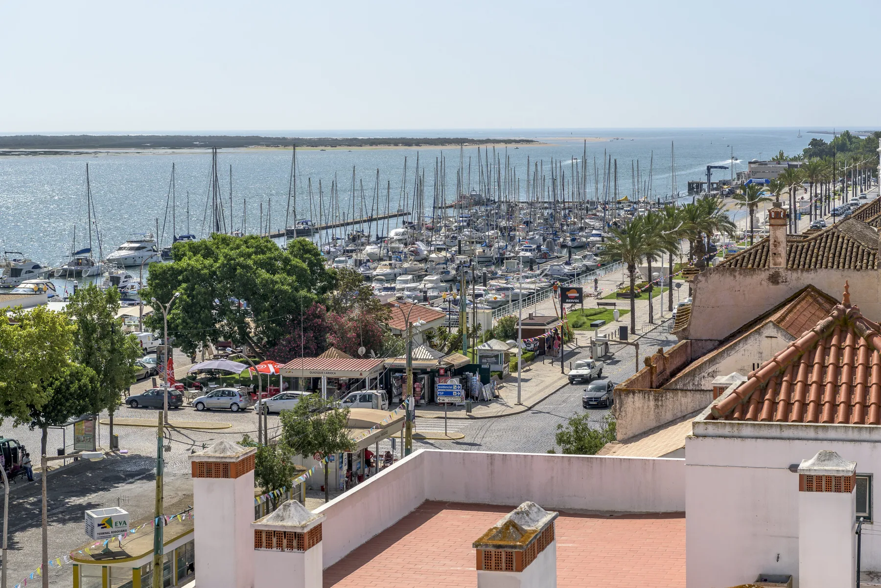 Una marina llena de mástiles se extiende junto al paseo marítimo y una carretera bordeada de palmeras.