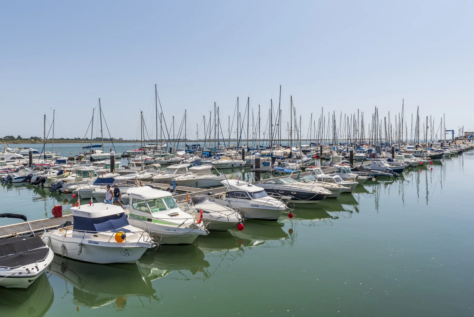 Un puerto deportivo lleno de embarcaciones y mástiles reflejados en aguas tranquilas.