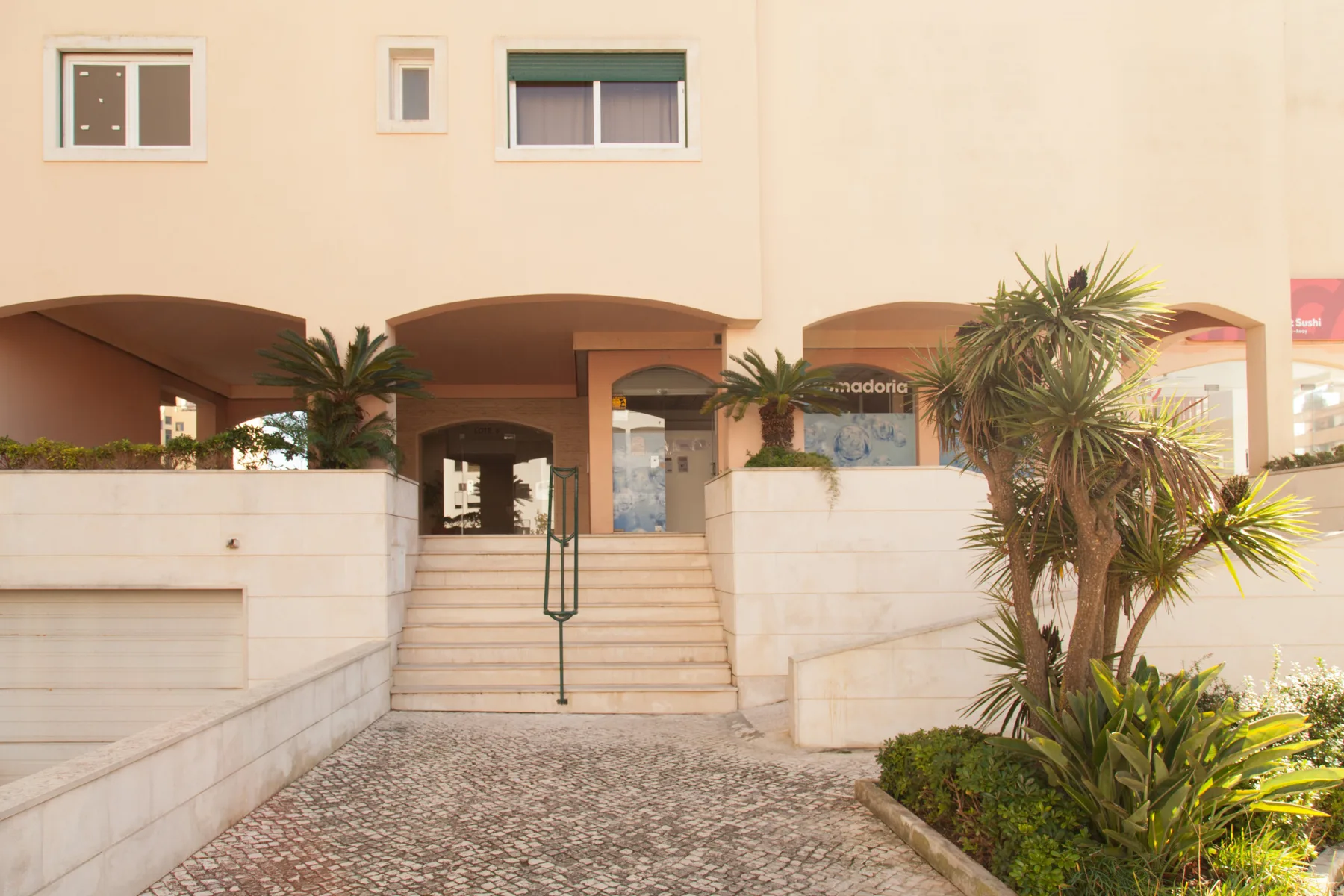 Entrada de un edificio con escalones, pavimento de piedra y plantas.