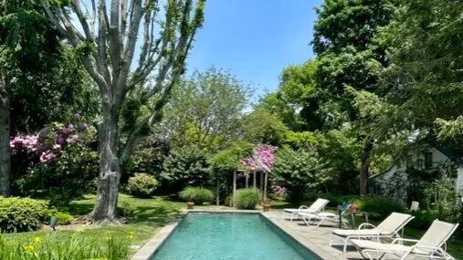 Una piscina rodeada de vegetación y tumbonas.