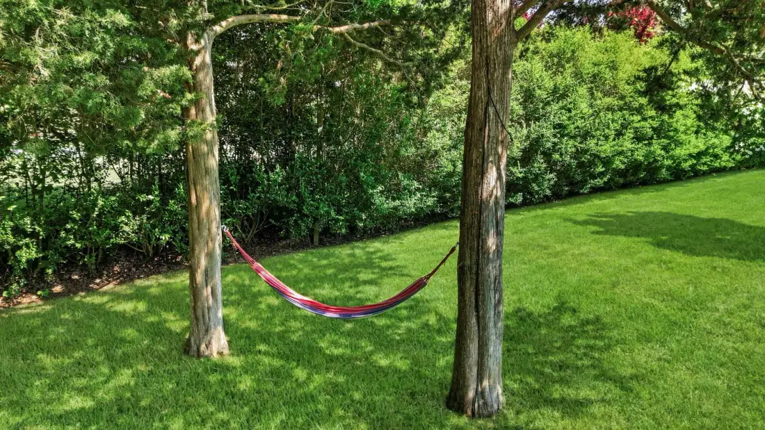 A hammock hangs between two trees in a green garden.