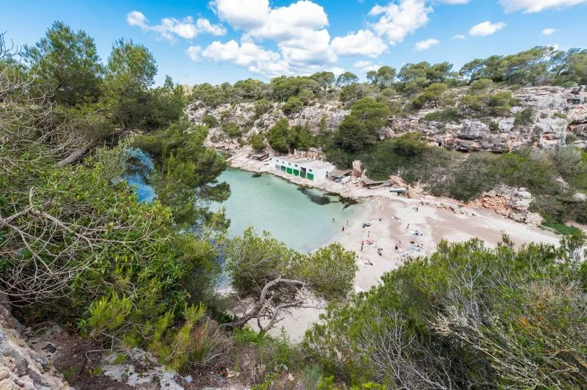 Aerial view of a rocky cove with clear water, a sandy shore, and surrounding trees.