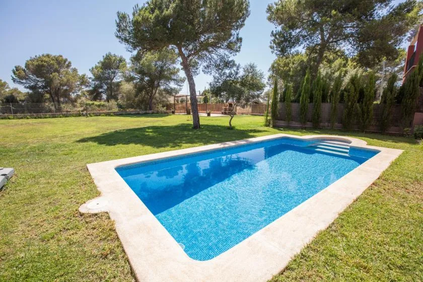 A swimming pool sits in a grassy yard with trees and hedges.